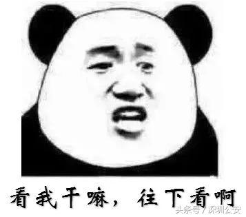 车牌车照