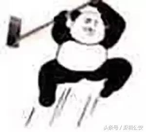 车牌车照