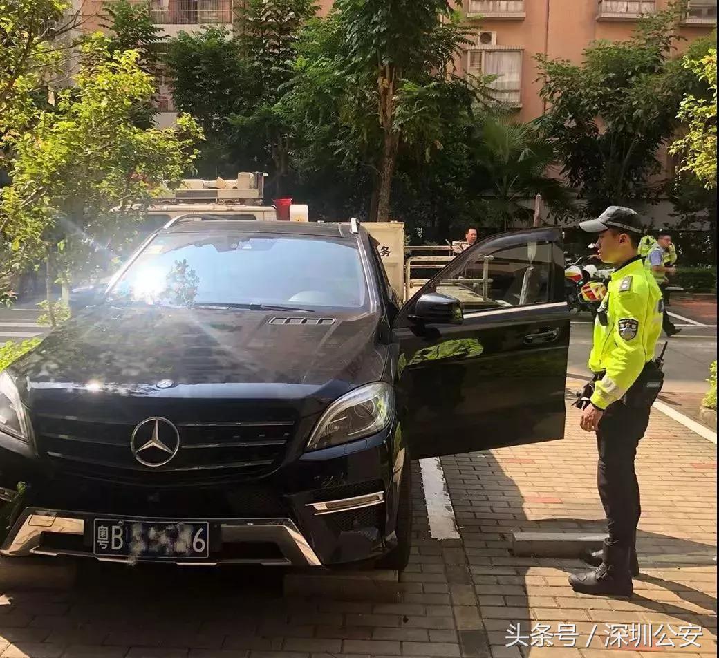 车牌车照
