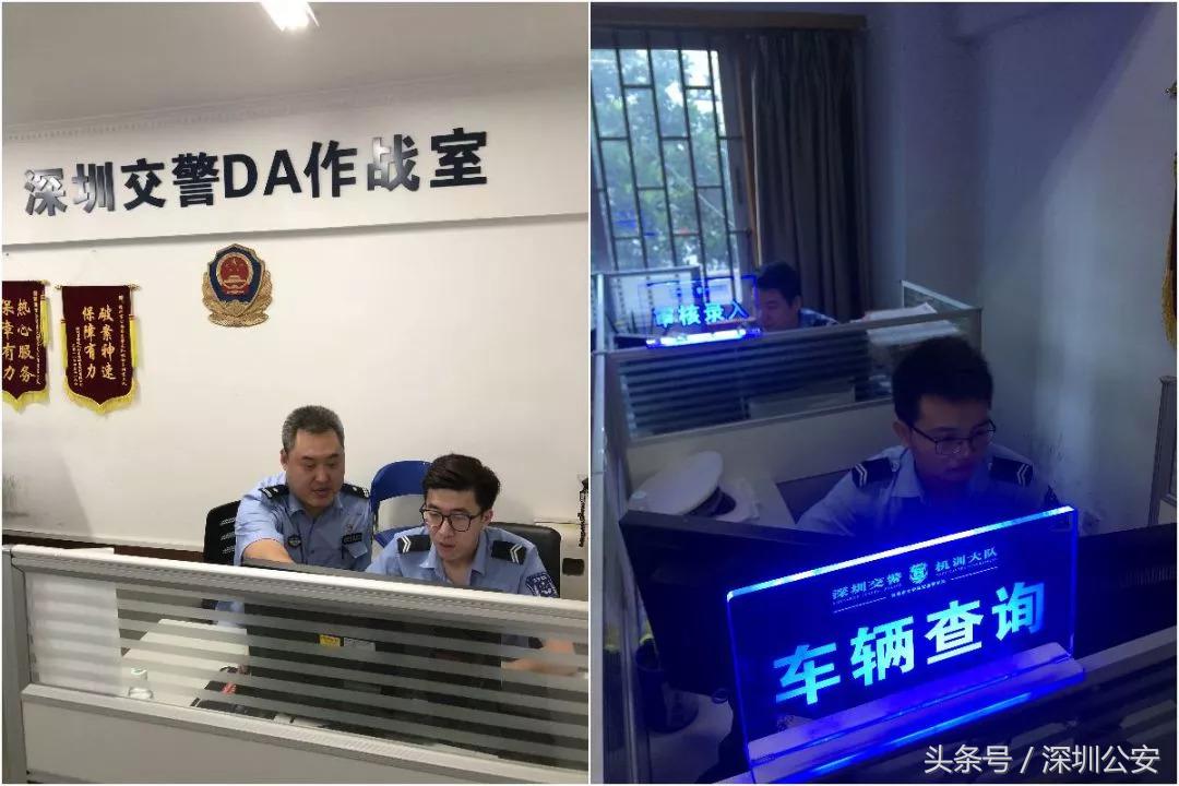 车牌车照