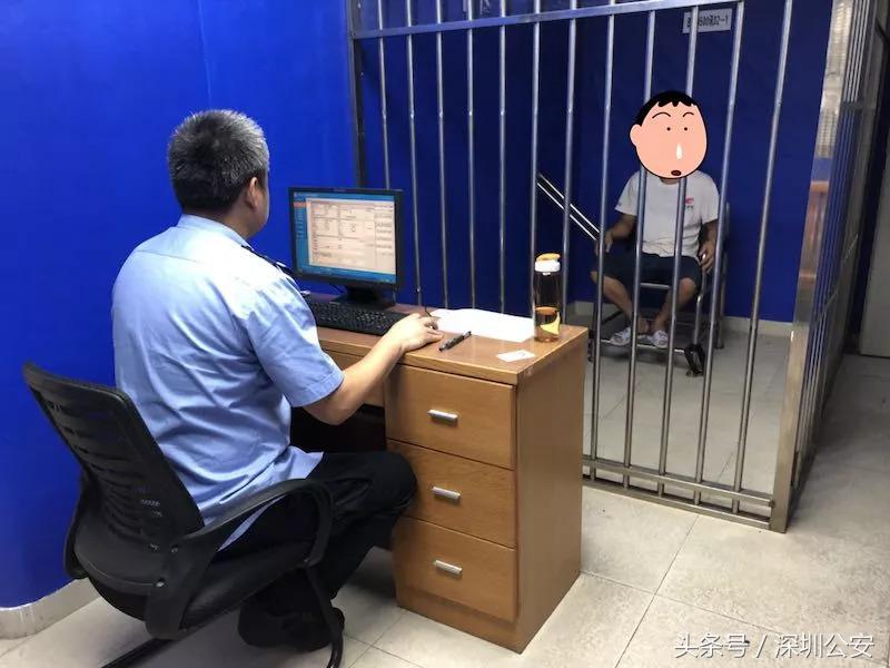车牌车照