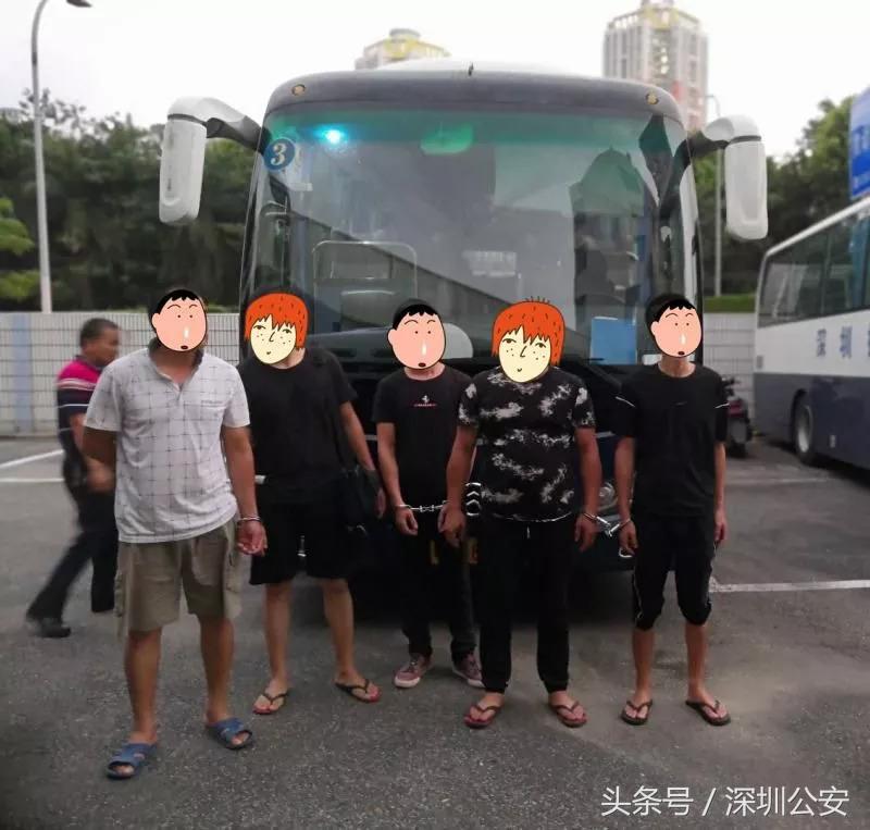 车牌车照