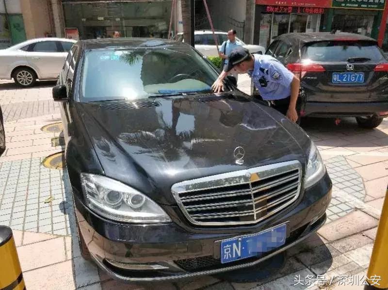 车牌车照
